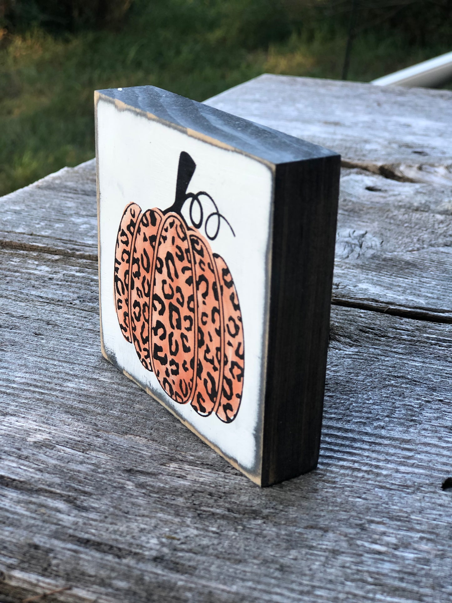 MINI LEOPARD PUMPKINS   - WOOD SIGN