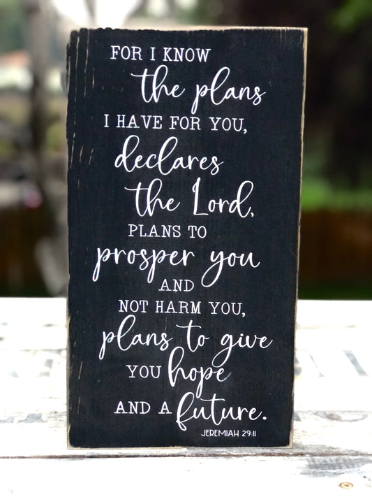 FOR I KNOW THE PLANS I HAVE FOR YOU DECLARES THE LORD